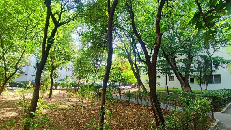 Patru camere, apartament Spa